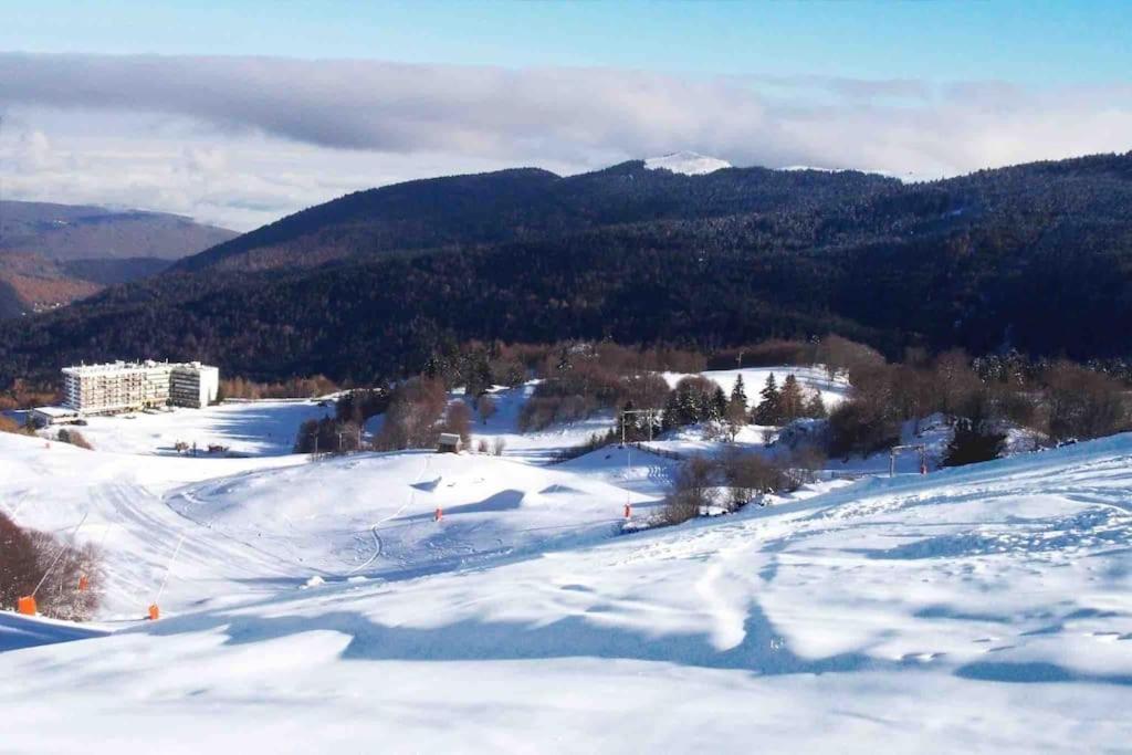 Maison 6 Places, En Plein Coeur De L'Ariege, Proche Ski Et Nature Lesparrou Exterior foto
